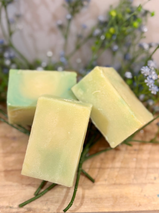 Luxorious Shampoo Bars Peppermint -Eucalyptus